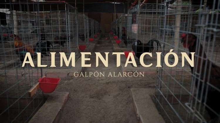 ALIMENTACIÓN DE EJEMPLARES 